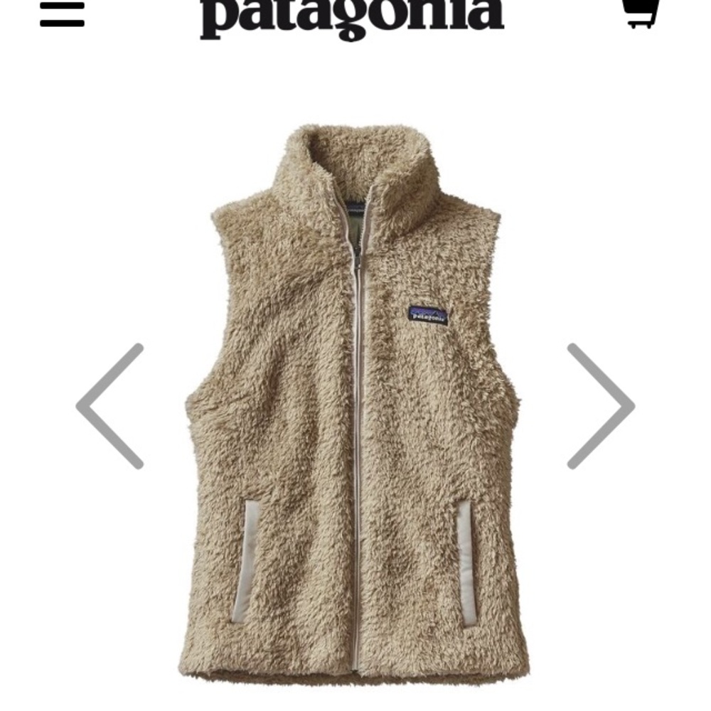 Patagonia Vest